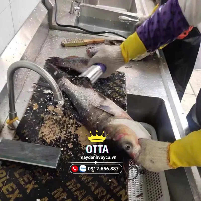 Hướng dẫn đánh vảy cá đúng cách bằng máy