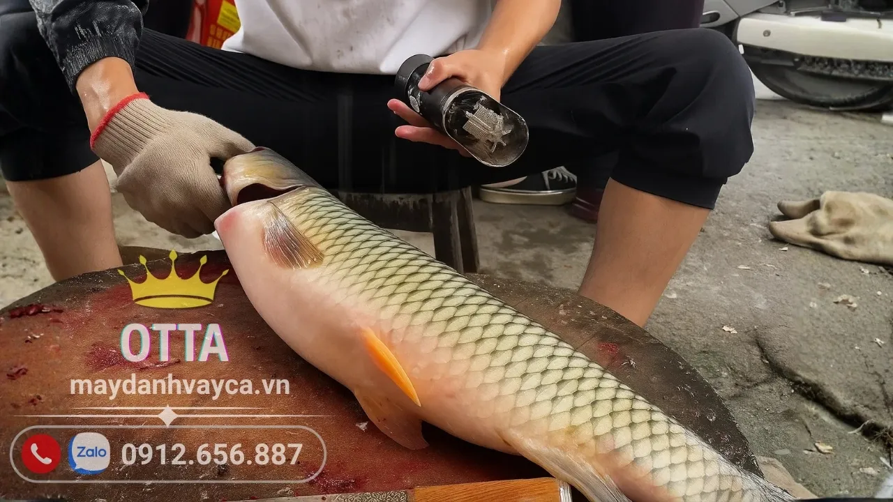 Máy đánh vảy cá cầm tay OTTA dùng cho tiểu thương