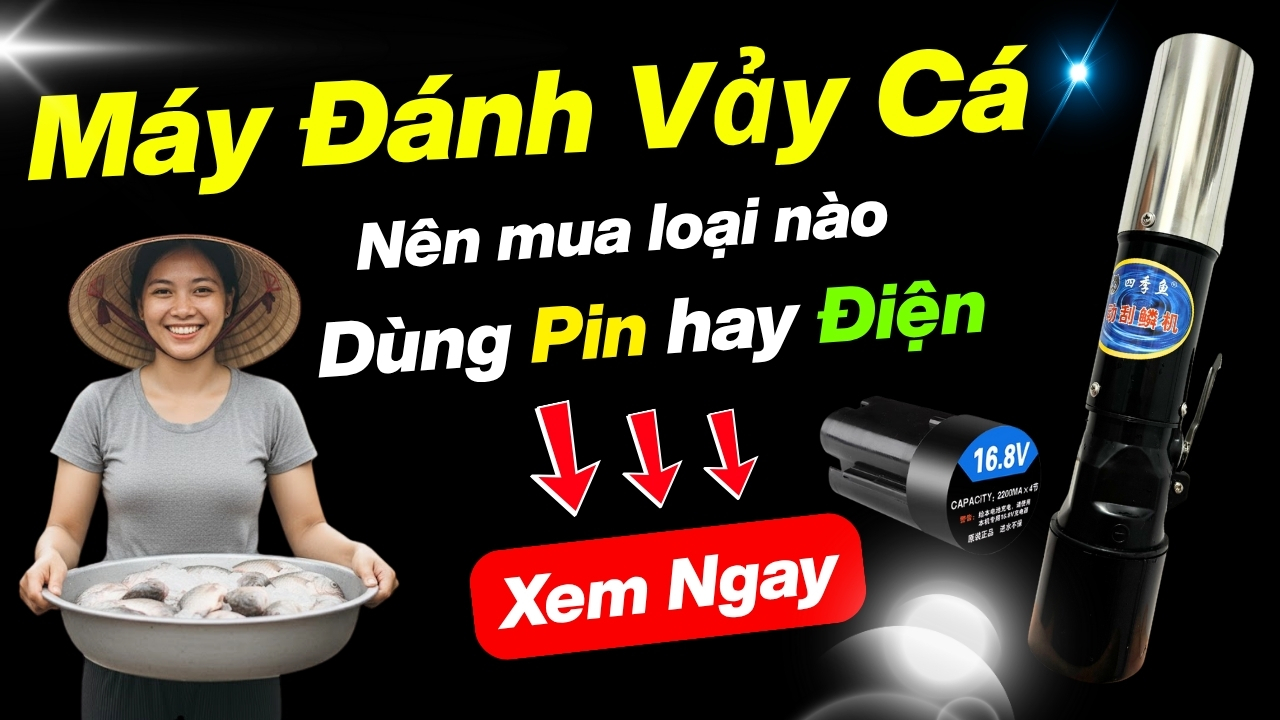 Liên hệ máy đánh vảy cá OTTA