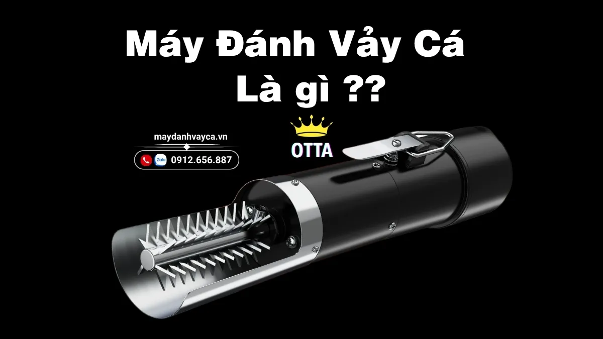 Máy đánh vảy cá là gì ?