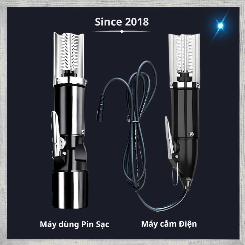 nhập khẩu máy đánh vảy cá từ 2018