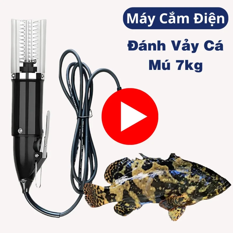 phản hồi thực tế khách hàng sử dụng máy đánh vảy cá dùng điện OTTA