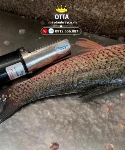 Máy được vệ sinh sạch sẽ khô ráo